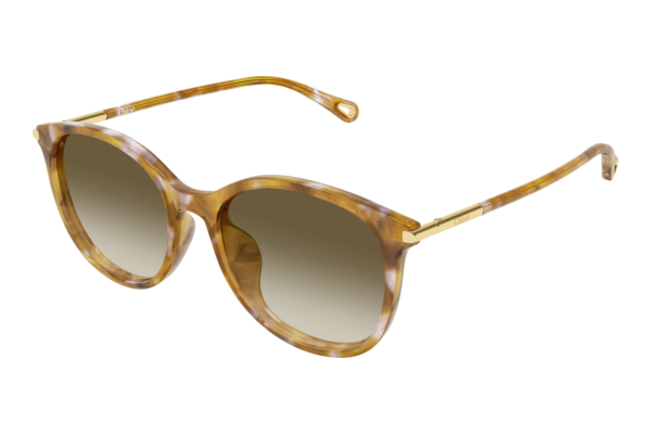 Solbriller Chloé CH0397SK 003