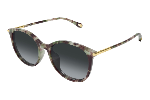 Solbriller Chloé CH0397SK 004