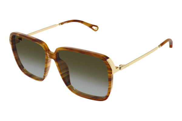 Solbriller Chloé CH0405S 003