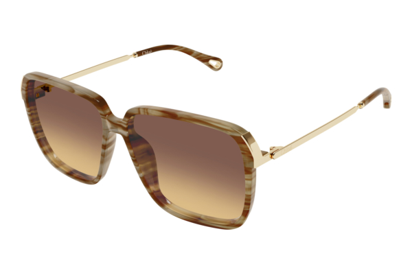 Solbriller Chloé CH0405S 004