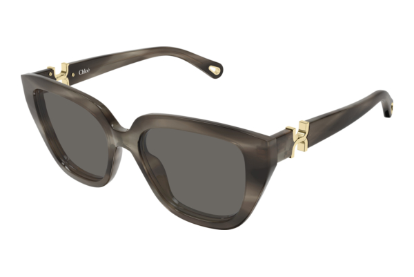 Solbriller Chloé CH0410S 002
