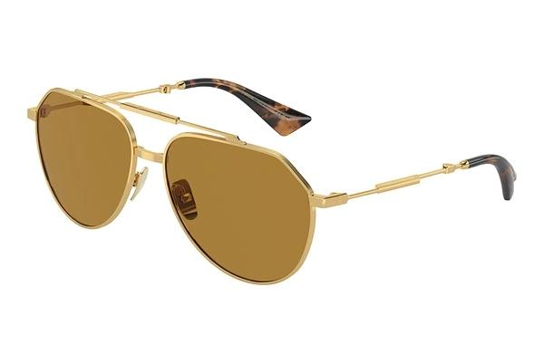 Solbriller Dolce & Gabbana DG2302 02/53