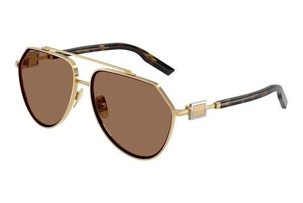 Solbriller Dolce & Gabbana DG2315 02/73