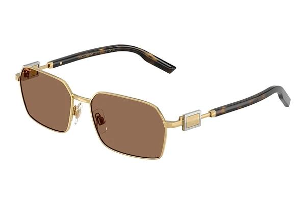 Solbriller Dolce & Gabbana DG2316 02/73