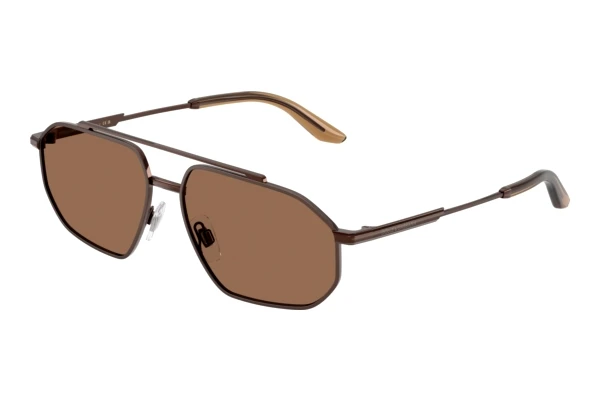 Solbriller Dolce & Gabbana DG2328 133673