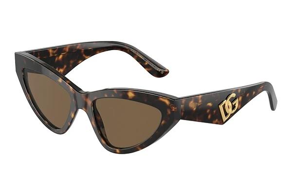 Solbriller Dolce & Gabbana DG4439 502/73