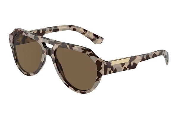 Solbriller Dolce & Gabbana DG4466 343473