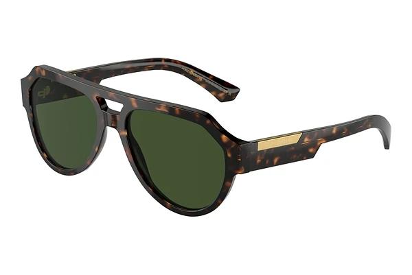 Solbriller Dolce & Gabbana DG4466 502/71