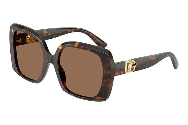 Solbriller Dolce & Gabbana DG4475 502/73