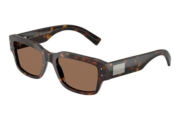 Solbriller Dolce & Gabbana DG4483 502/73