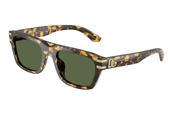 Solbriller Dolce & Gabbana DG4496 333071