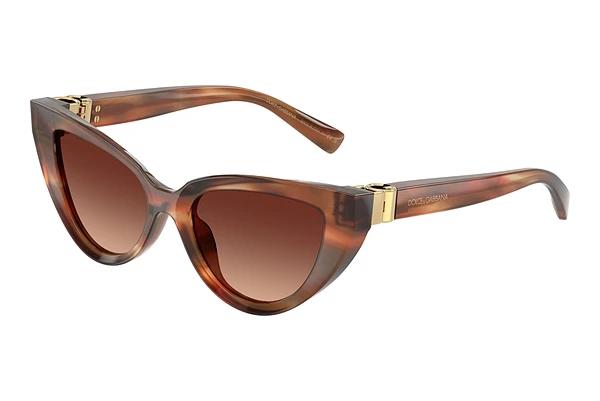 Solbriller Dolce & Gabbana DG4497 322113