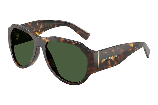 Solbriller Dolce & Gabbana DG4504 502/71