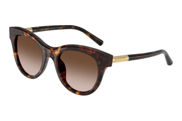 Solbriller Dolce & Gabbana DG4518 502/13
