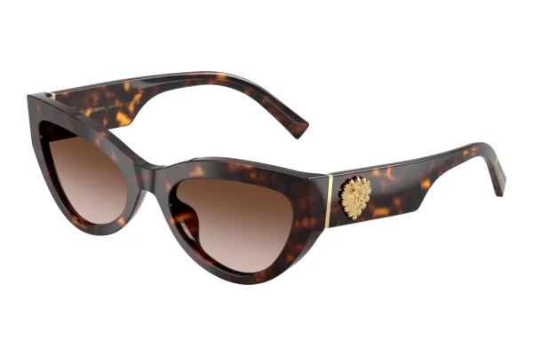 Solbriller Dolce & Gabbana DG4536 502/13