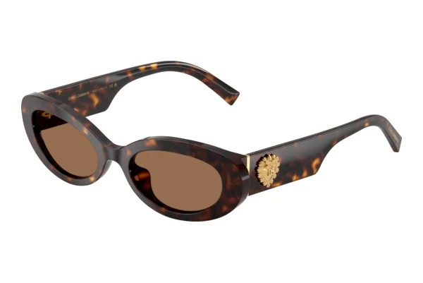 Solbriller Dolce & Gabbana DG4537 502/73