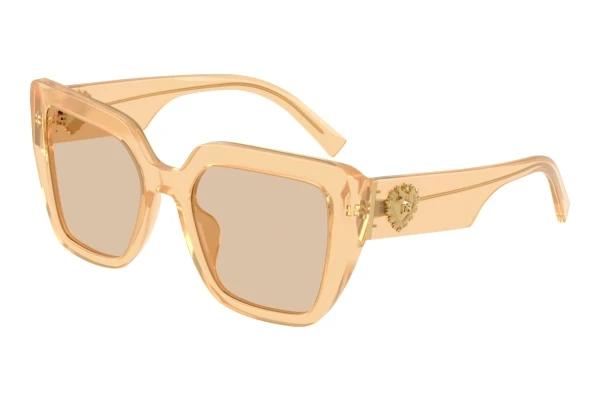 Solbriller Dolce & Gabbana DG4538 308993