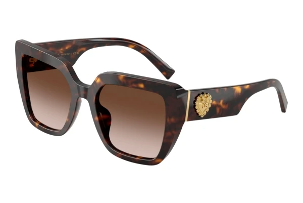 Solbriller Dolce & Gabbana DG4538 502/13