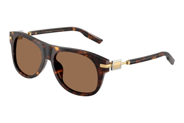Solbriller Dolce & Gabbana DG4546 502/73