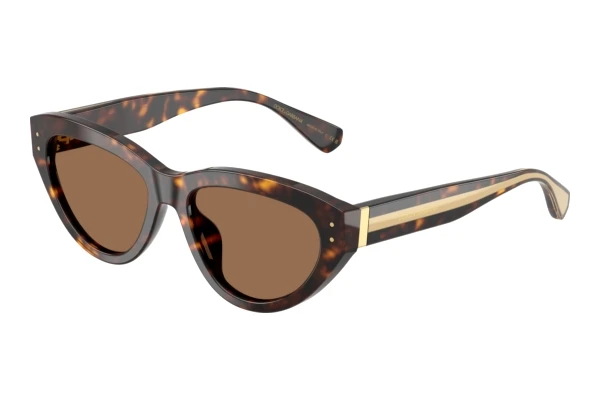 Solbriller Dolce & Gabbana DG4558 502/73