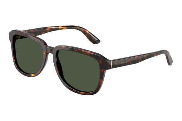 Solbriller Dolce & Gabbana DG4566 502/9A
