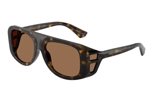 Solbriller Dolce & Gabbana DG6208 502/73