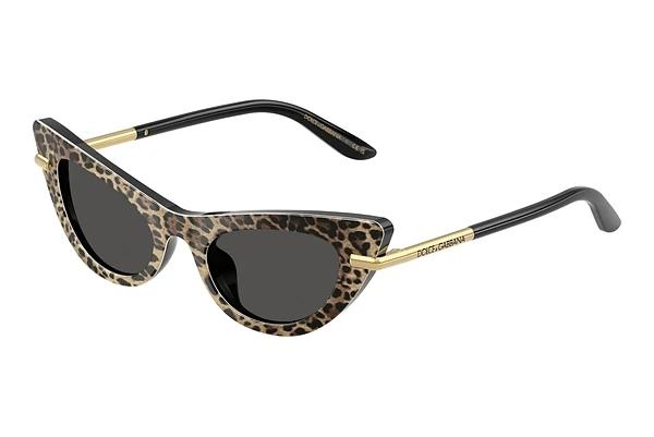 Solbriller Dolce & Gabbana DX4008 316397