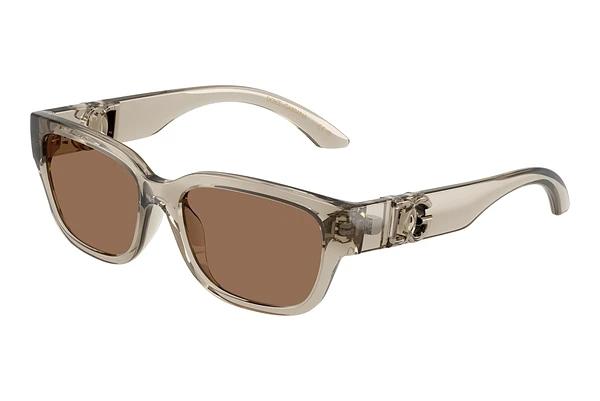 Solbriller Dolce & Gabbana DX6009 329173
