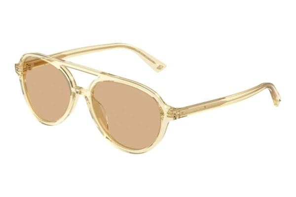 Solbriller Jimmy Choo JC5055U 5083/8