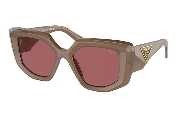 Solbriller Prada PR 14ZS 11S08S