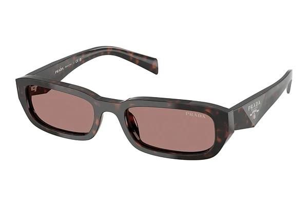 Solbriller Prada PR B06S 17N60B