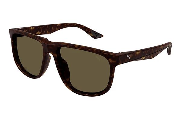 Solbriller Puma PU0441S 002