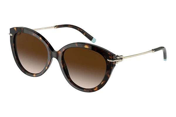 Solbriller Tiffany TF4187 80153B