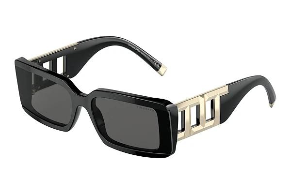 Solbriller Tiffany TF4197 8001S4