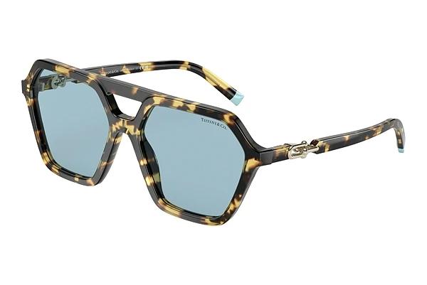 Solbriller Tiffany TF4198 806480
