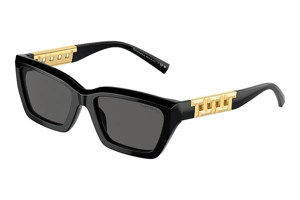 Solbriller Tiffany TF4213 8001S4