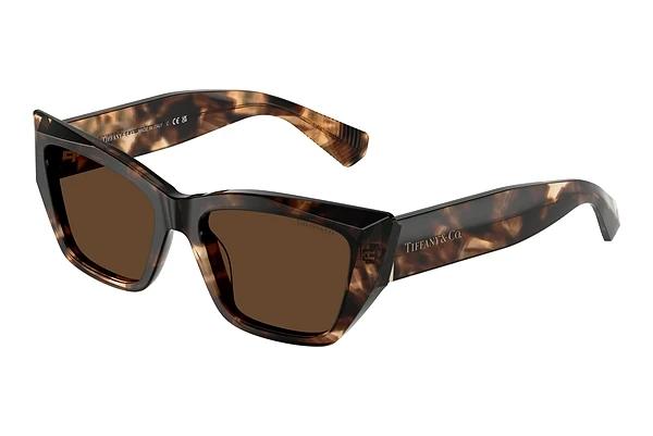 Solbriller Tiffany TF4230 84213G