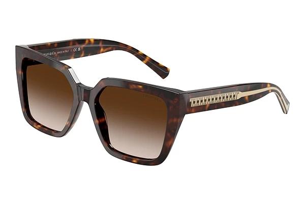 Solbriller Tiffany TF4235 80153B