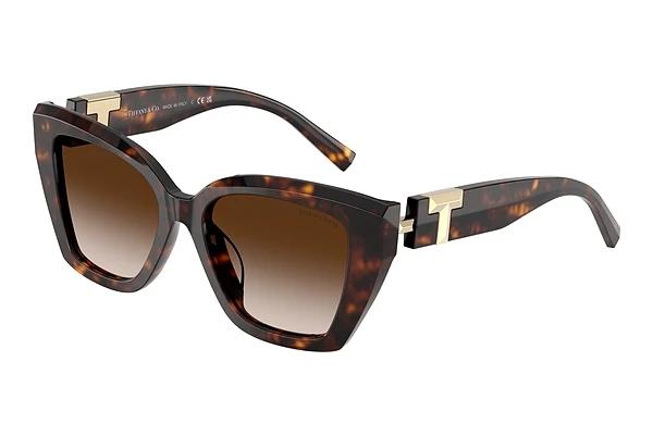 Solbriller Tiffany TF4239U 80153B