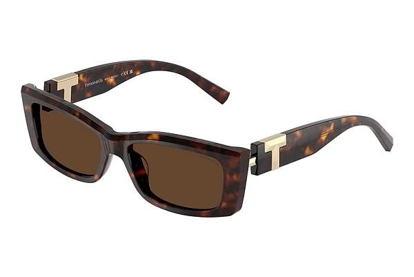 Solbriller Tiffany TF4240U 80153G