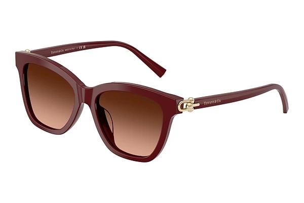 Solbriller Tiffany TF4241D 84395M