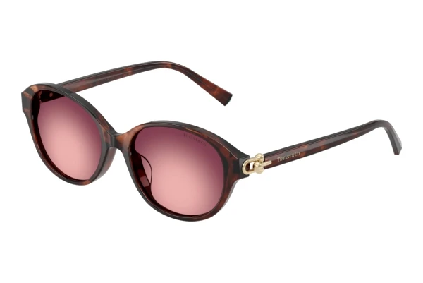 Solbriller Tiffany TF4263D 84218H