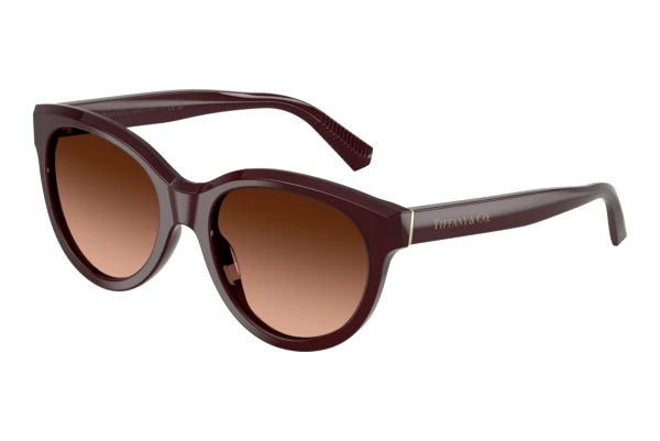 Solbriller Tiffany TF4271 84705M