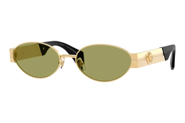 Solbriller Versace VE2301 152382