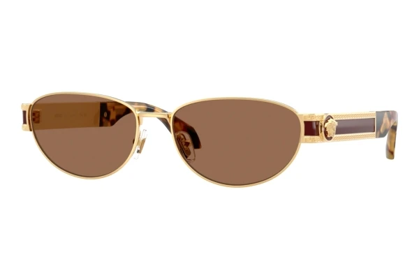 Solbriller Versace VE2304 152373