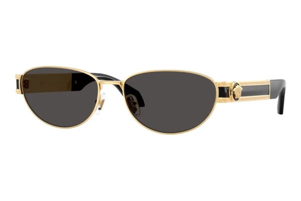 Solbriller Versace VE2304 152387