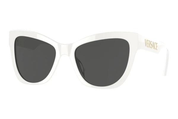 Solbriller Versace VE4417U 314/87