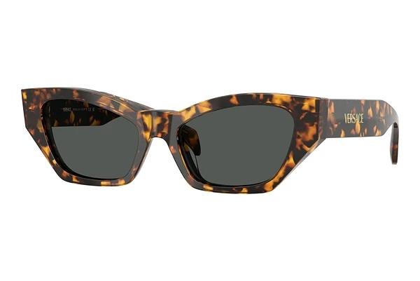 Solbriller Versace VE4488U 551487