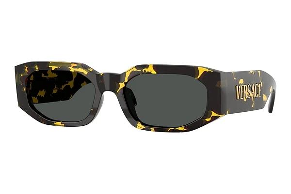 Solbriller Versace VE4489U 552887