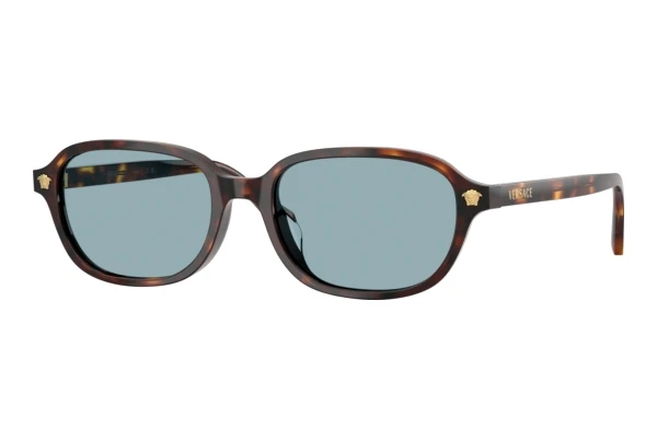 Solbriller Versace VE4514D 553780